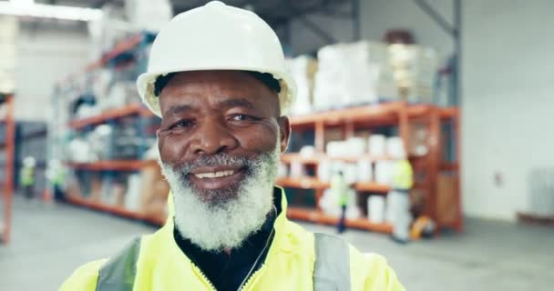Industrie Sourire Visage Homme Noir Dans Entrepôt Pour Inventaire Vérification — Video