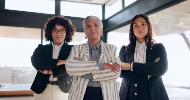 Komoly Nők Üzleti Csapat Szakmai Portré Hivatalban Bizalommal Sokszínűséggel Vezetővel — Stock videók