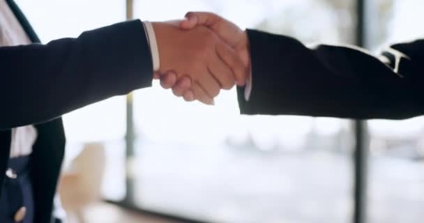 Ceo Jefe Empresario Estrechando Mano Reunión B2B Para Negociación Acuerdo — Vídeos de Stock