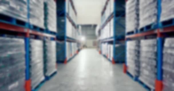 Entrepôt Logistique Inventaire Avec Stockage Chaîne Approvisionnement Distribution Pour Commerce — Video