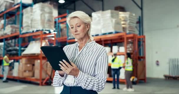 Kobieta Magazyn Tablet Dla Logistyki Commerce Zapasów Lub Zarządzania Przemysłowego — Wideo stockowe