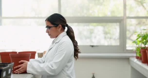 Kadın Bilim Adamı Seradaki Tesisi Araştırma Tıbbi Deney Bilim Botanikçi — Stok video