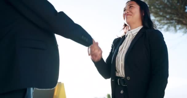 Partnerstwo Szczęśliwa Kobieta Lub Biznesmeni Ściskający Dłonie Parku Spotkanie B2B — Wideo stockowe