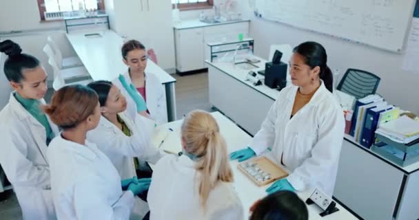 Laboratuvar Öğrenci Soruları Araştırmalı Öğretmen Geleceğin Bilim Adamı Sınıfı Üniversite — Stok video
