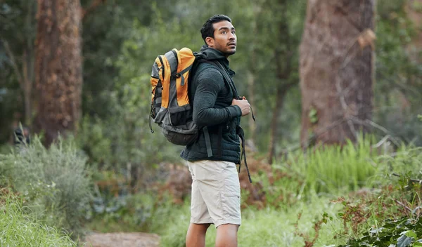 Man, travel backpack and walking with view, thinking and camping in the Amazon forest for holiday. Exercise, trekking workout and hiking in the woods for vacation with freedom in nature on a journey.