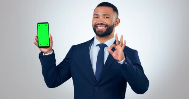 Homem Profissional Telefone Apresentação Tela Verde Negociação Mockup Sim Emoji — Vídeo de Stock