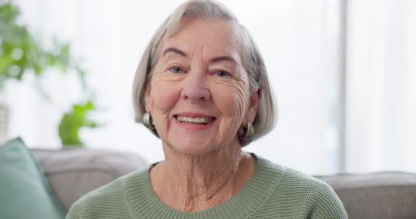 Viso Donna Felice Anziana Sul Divano Pensione Presso Casa Cura — Video Stock