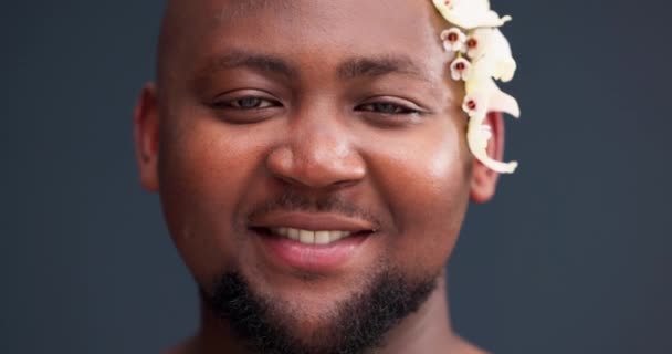 Flowers Self Confidence Smile Face Black Man Studio Acceptance Natural — Stock Video