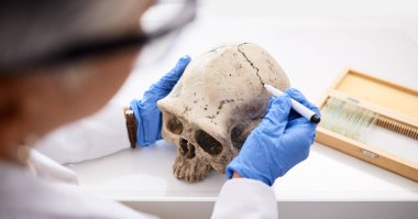 Bilim, profesyonel ve elinde kafatasıyla laboratuarda tıbbi tarih araştırması yapan biri. Anatomi, insan iskeleti ve DNA kanıtı. Kemik ya da adli tıp incelemesi için kafa ya da laboratuvar testi..