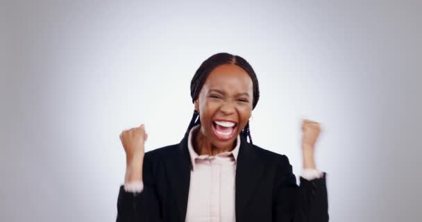 面容和黑人女性在工作室与小企业 庆祝和创业 贷款或成功的灰色背景 肖像画 非洲女士经纪公司老板 手握莫吉牌进行交易或销售 — 图库视频影像
