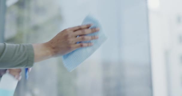 Pessoa Spray Pano Limpeza Para Janelas Higiene Cuidado Bactérias Poeira — Vídeo de Stock