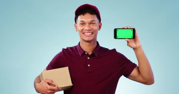 Telefon Yeşil Ekran Ecommerce Paketi Için Karton Kutusu Olan Bir — Stok video