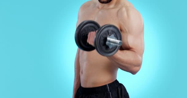 Halteres Exercício Braço Fisiculturista Estúdio Para Treino Desafio Crescimento Muscular — Vídeo de Stock