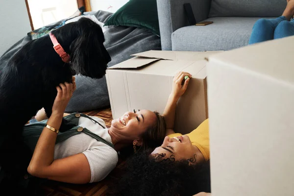 Moving, boxes and couple with a dog in home, living room or women relax together on floor bonding with puppy or pet. New house, happiness or people with love for animal and investment in property.