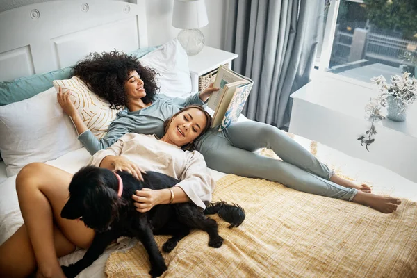 Dog, bed and happy lesbian couple in home, morning and relax together reading book. Pet, bedroom and gay women with animal, bonding and play in healthy relationship, love connection and interracial.