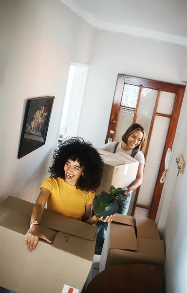 Boxes, homeowner and couple with love, lesbian or moving with real estate, achievement or excited. Queer people, happy women or girls with marriage, goals or new apartment with happiness or property.