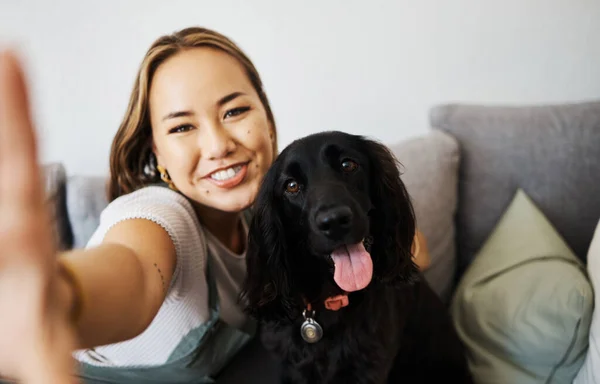 自私自利和女人带着狗在家里的沙发上放松和与动物玩耍 宠物的主人 照料者和亚洲人与伴侣 微笑和友谊或社交媒体形象和记忆一起影响着宠物的主人 照料者和影响者 — 图库照片