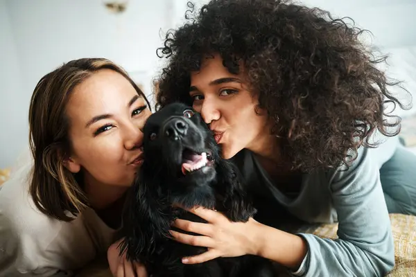 Women, portrait and dog with kiss on sofa in living room of home for puppy, love and happiness indoor. Cocker spaniel, animal and people together on couch with cuddling and care for bond and loyalty.