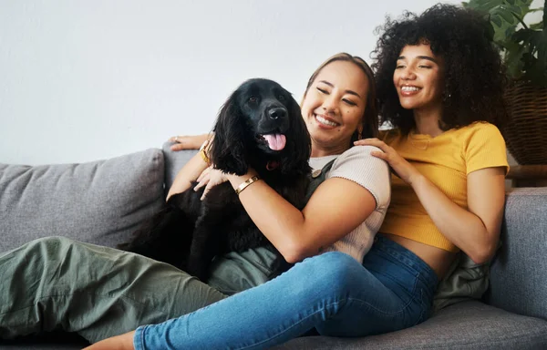Dog, sofa or happy gay couple play in home to relax together in healthy relationship or love connection. Lgbtq, pet or lesbian women smile with animal, bond or care in house living room on couch.