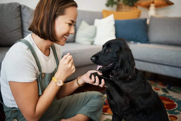 Love, paw and woman with dog in home lounge to relax and play with animal. Pet owner, happiness and asian person on floor for training companion, care and wellness or friendship in cozy apartment.