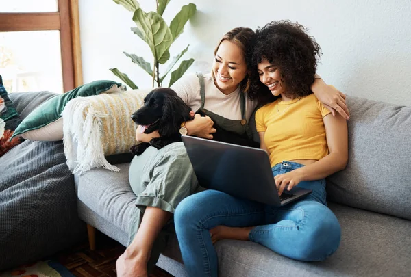Dog, laptop or gay couple hug on sofa to relax together in healthy relationship love connection. Lgbtq, home or happy lesbian women with a pet animal to bond on living room couch for remote work.