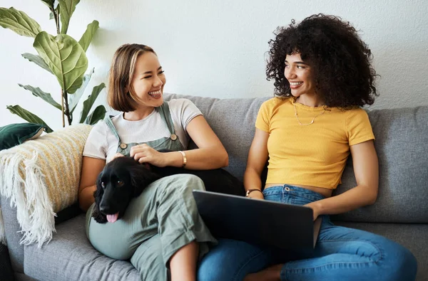 Dog, laptop or gay couple on sofa to relax together in healthy relationship love connection. Lgbtq, online or lesbian women with a pet animal to hug, play or bond on living room couch for remote work.