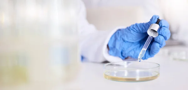 Mão Placa Petri Líquido Química Pipeta Laboratório Com Pessoa Cientista — Fotografia de Stock