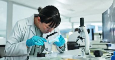 Parçacıklar, büyüteç ya da laboratuarda araştırma, tıbbi çalışma ya da test deneyi yapan bilim adamları. Veri analizi, soruşturma veya gelecekteki gelişmeler veya sonuçlar için petri kabı taşıyan Asyalı kadın.