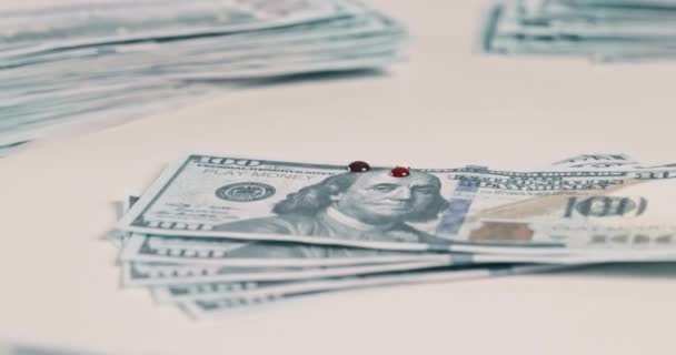 Készpénzszámlák Vércseppek Pénzmosásból Illegális Csalásból Vagy Rossz Üzletből Csalásból Vagy — Stock videók