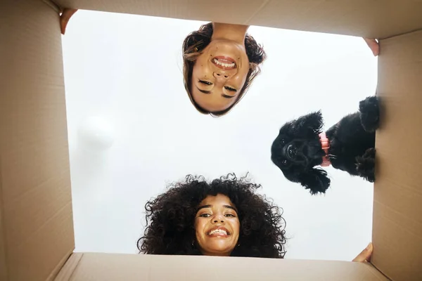 Portrait, happy and lesbian couple with dog and box for moving, unpacking or a new house from below. Love, home and lgbt women with pet and package for packing, real estate or relocation to apartment.