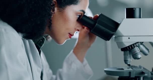 顕微鏡の医学 研究および女性は実験 Dnaのテストおよび革新のサンプルを点検します 研究機器 ワクチン接種を有する個人 科学者 研究者 — ストック動画