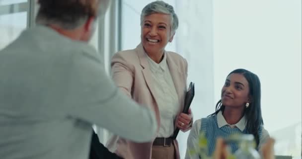 Mujer Negocios Senior Hombre Apretón Manos Para Bienvenida Respeto Incorporación — Vídeos de Stock