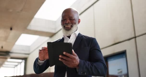 市内のタブレット お祝い シニアビジネスマンは 良いニュース 仕事の昇進や勝利を持っています 幸せな デジタル技術および町の成功のための拳ポンプが付いている専門のアフリカの男性弁護士 — ストック動画