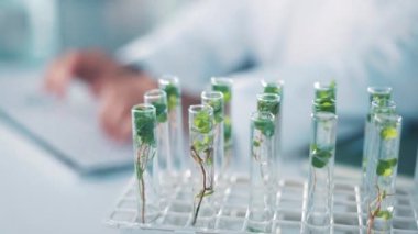 Test tüpü, ekoloji ve yaprak, laboratuvarda bilim ve yenilik, tıbbi araştırma ve klavyede yazan bilim adamı. Biyoteknoloji, çevre çalışması ve deney, test etmek için insan ve bitki örneği.