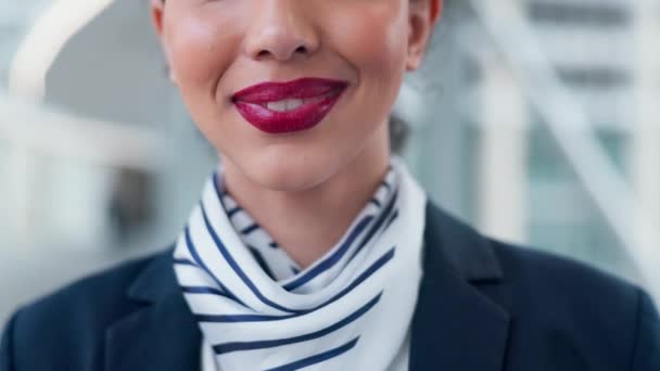 Uçuş Görevlisi Gülümseyin Yüzünüzü Havaalanına Kapatın Profesyonel Ulaşım Servisiyle Seyahat — Stok video