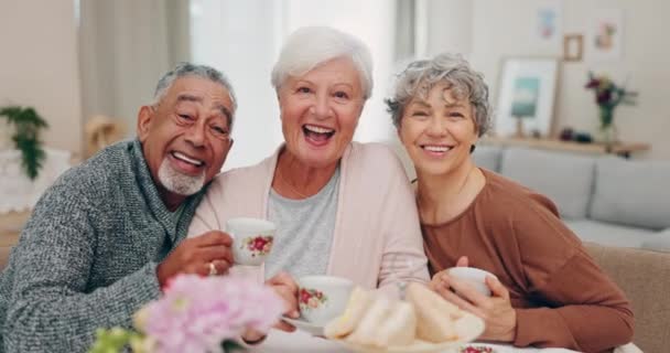 ボンディングのための家での訪問中に お茶会で顔 上級友人 社会的な集まりのためのリビングルームの高齢者のグループとの肖像画 コミュニティ — ストック動画