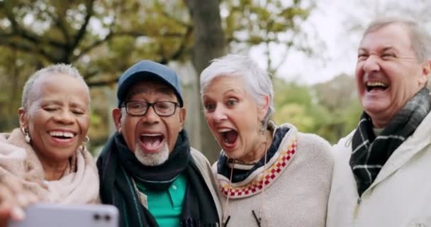 Selfie Lachen Und Seniorengruppe Park Oder Der Natur Für Den — Stockvideo