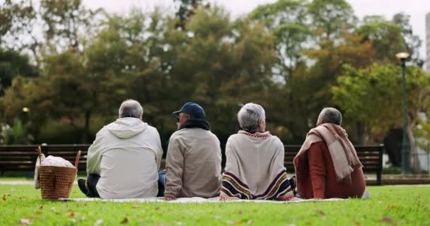 Konuşmak Rahatlamak Parkta Piknik Yapmak Için Insanların Arkasını Kollamak Yaşlılarla — Stok video