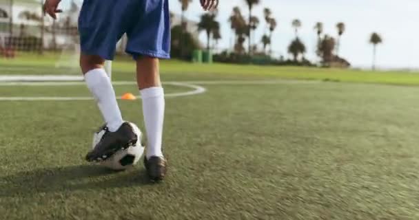 Objetivo Pelota Pies Práctica Tiro Infantil Fútbol Para Partido Competición — Vídeos de Stock