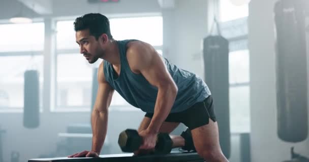 运动和一个男人与哑铃在健身房为健身训练和健康 亚洲人的特征 专注于权力 强壮的肌肉和在长椅上锻炼以获得动力和健康 — 图库视频影像