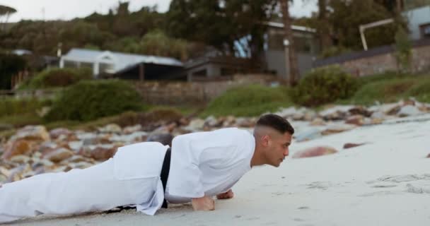 Карате Людина Штовхають Пляж Тренувань Природі Силою Фітнесу Фізичних Вправ — стокове відео
