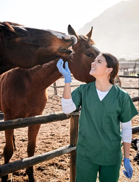 医学検査 健康診断のための馬の世話をするベット 牧場および医者 獣医治療のための農場でヘルスケア 動物ケア 幸せな女性看護師 — ストック写真