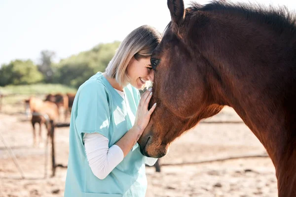 医療検査 健康診断のための馬の世話をするベット 医師および女性 牧場での検査 獣医の治療のための農場の医療 看護師 幸せな人 — ストック写真