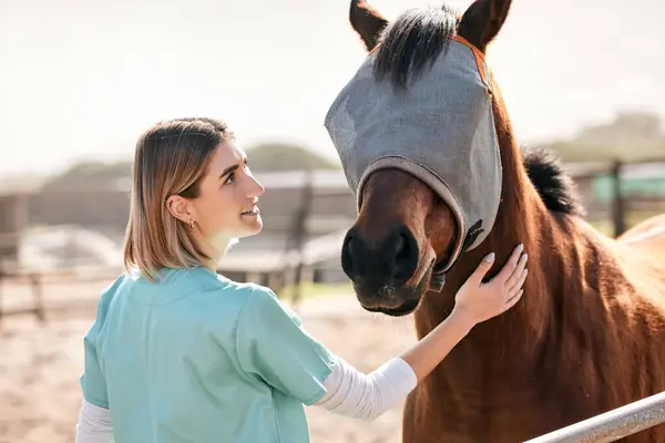健康診断のための牧場に馬を乗せたベット 獣医の治療のための農場のヘルスケア 動物のケアおよび幸せな人 — ストック写真