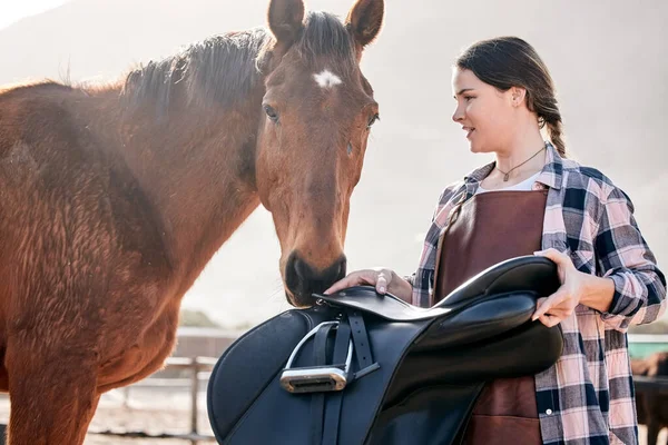 Horse, rider and woman with saddle on ranch for animal care, training and riding on farm. Agriculture, countryside and person with equipment for stallion for practice, freedom and adventure outdoors.