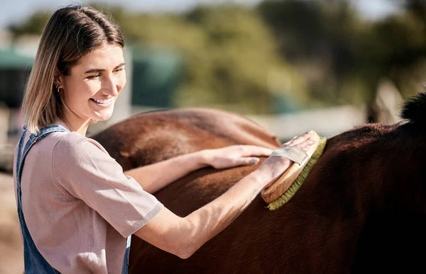 動物の世話 農場のペットおよび田舎のクリーニングのための牧場で磨かれた馬 グルーミングおよび女性 健康的な家畜および衛生のためのスタリオのブラシをかけている農業 幸せおよび人 — ストック写真