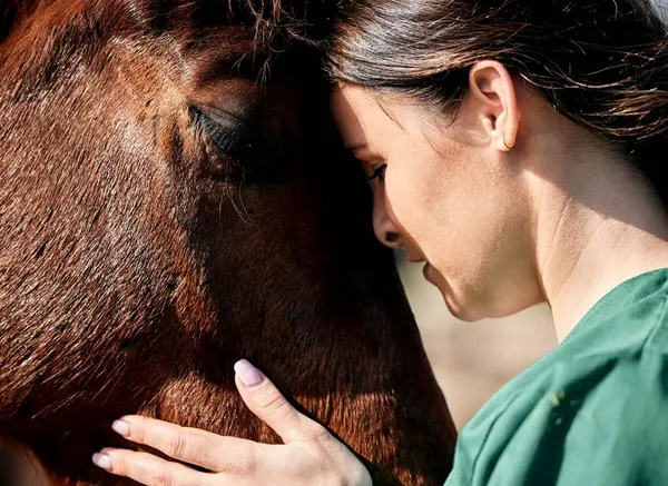 医学検査 健康診断のための馬の世話をするペット 医者および女性 牧場での検査 獣医の治療のための農場の医療 看護師 幸せな人 — ストック写真