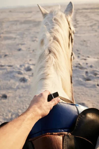 Horse riding, beach and hand of person with animal for travel on holiday or vacation on an island with farm pet in nature. Getaway, trip and rider or tourist on tropical location, sea or ocean.