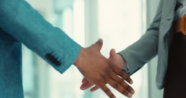 商务人士 合伙或财务协议 入职及谢谢你 专业客户在会议介绍 支持或B2B协作中握手 — 图库视频影像
