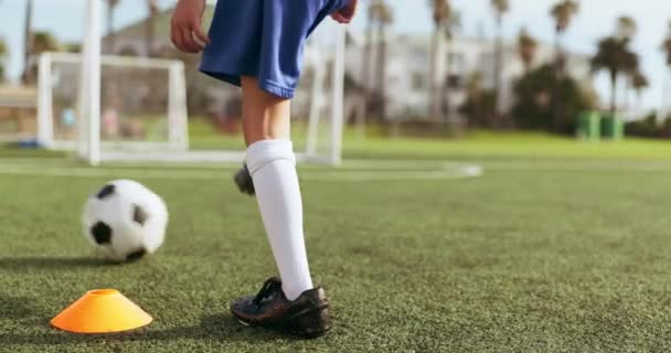 Juventude Criança Sozinho Para Futebol Com Treinamento Objetivo Prática Para — Vídeo de Stock